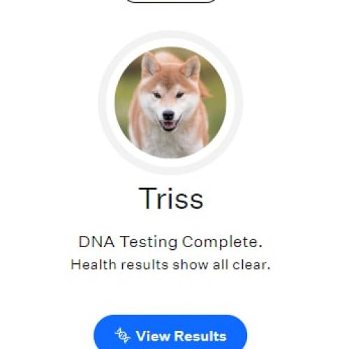 Triss DNA Results