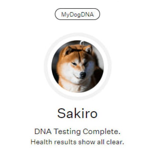Sakiro w systemie MY DOG DNA