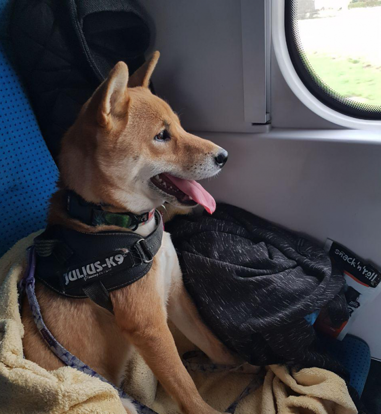 photo_2019-04-06_19-02-09