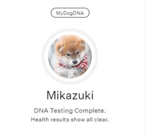 Mikazuki w systemie My Dog DNA