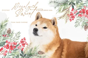 Wesołych Świąt i Szczęśliwego Nowego Roku!