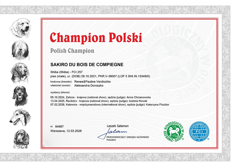 sakiro championat champion polski shiba