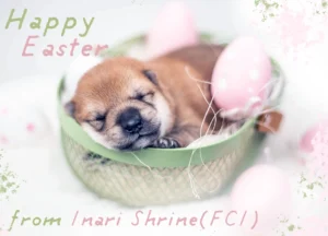 Wesołych Świąt Wielkanocnych!