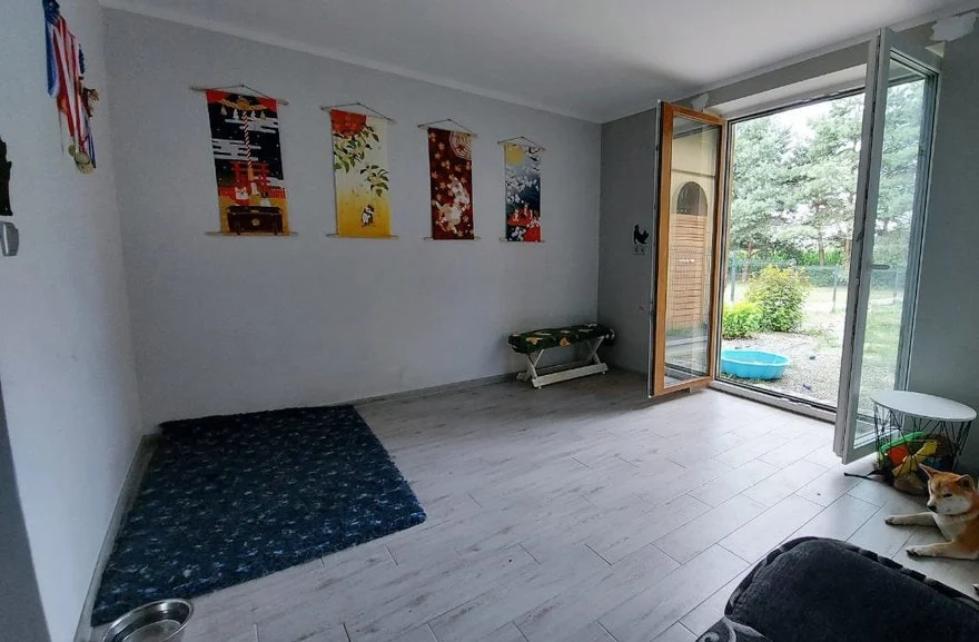 Królestwo naszych shibek- psi pokój!